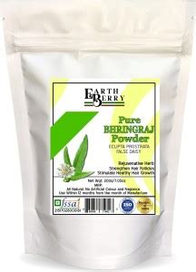 EARTH BERRY Pure Bhringraj Powder/Eclipta Alba/False Daisy for Hair ...