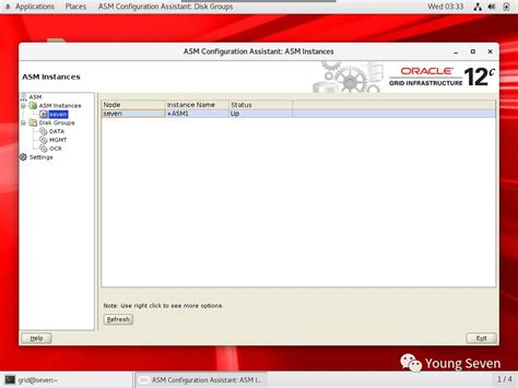 Oracle ASM Tutorial 的图像结果