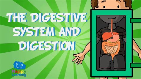 Digestive Process for Kids 的图像结果