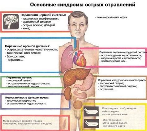 Рвота после алкоголя: причины, виды, последствия, избавление и профилактика