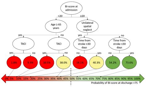 Prognostic Factors in Neurorehabilitation of Stroke: A Comparison among ...