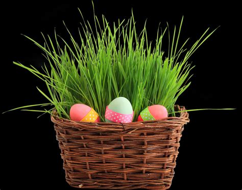 Download A Basket With Grass And Eggs [100% Free] - FastPNG