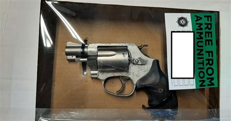 Suspected firearms seized in INLA probe – The Irish News