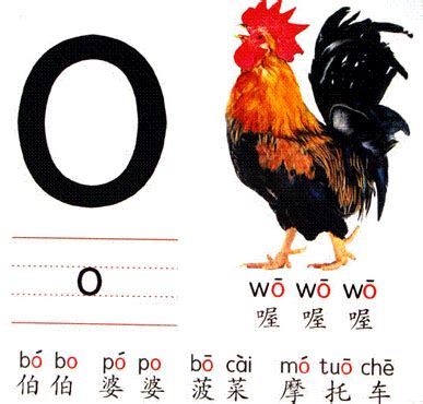 26个拼音字母表图片大全："o”的拼音字母卡趣图汇总 --小学频道--中国教育在线