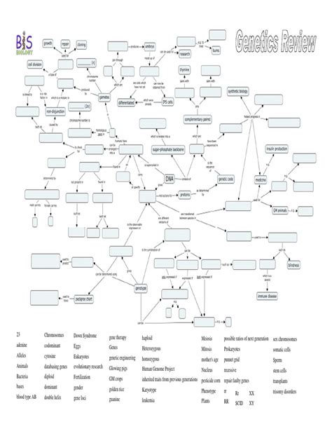 Image result for Genetic Engineering Concept Map
