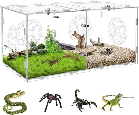 Acrylic Jumping Spider Enclosure with Double Compartments, Large Size, 40 * 20 * 20CM, Reptile ...
