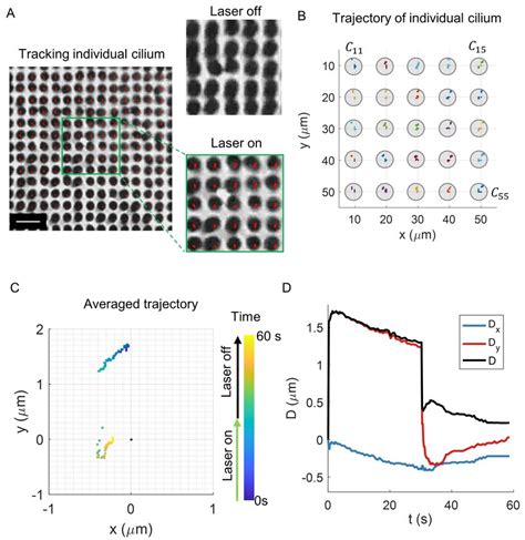 Image result for Centroid Tracking Algorithm