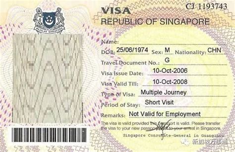 2019最强新加坡签证攻略：10年多次往返、96小时过境签、担保反签...... - 新加坡新闻头条