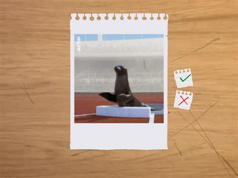 Terrifying Sea Creatures Flash Cards 的图像结果