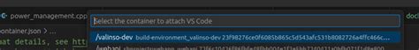 VS Code Attach to Container 的图像结果