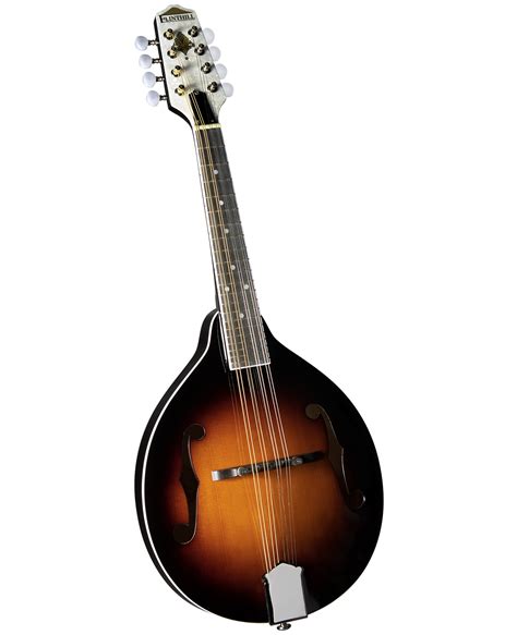 Image result for Mandolin