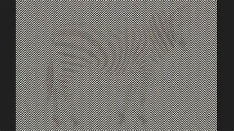 You've got the vision of a hawk if you can spot the hidden animal in ...