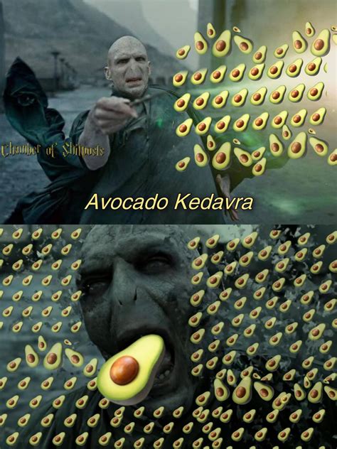 Funny Harry Potter Memes