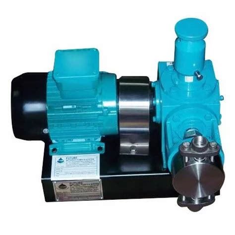 Manufacturer of Plunger Pump & Dosing Pump by Future Metering Pumps ...