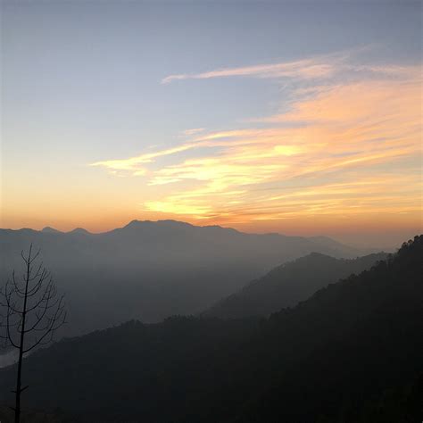 BRIGHT SUNNY PINES HOTELS & RESORT (Jaiharikhal) - Hotel Reviews ...