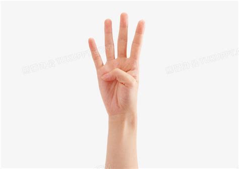 四个手指PNG图片素材下载_手指PNG_熊猫办公