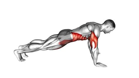 Plank Exercises: Complete Workout Guide To Build Strong Core