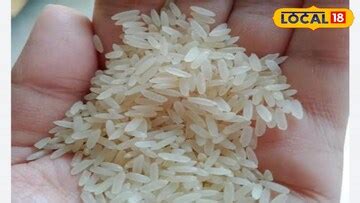to get good quality tulaipanji rice follow these rules| রাসায়নিক সার ...