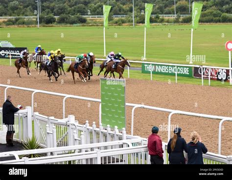 Wolverhampton Wolves Races 的图像结果