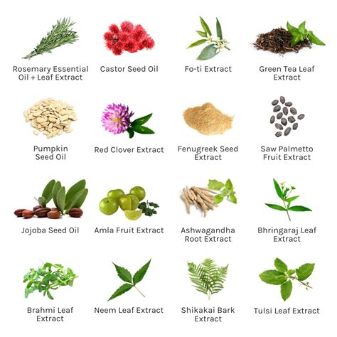 Buy Rosemary Scalp Treatment for Innate Life at Ubuy India