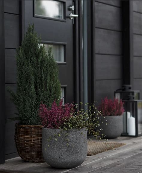Modern Window Box Planters for Your Home