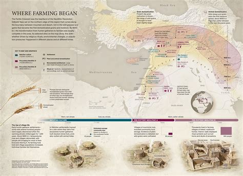 Neolithic Agricultural Revolution Timeline World History Neolithic