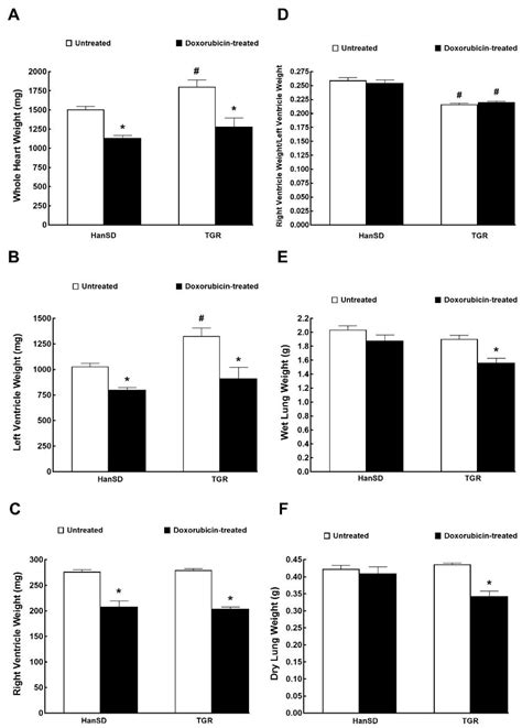 Deleterious Effects of Hyperactivity of the Renin-Angiotensin System ...