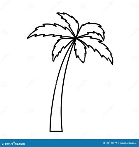 Palm Tree Outline Stock Illustrations – 20,416 Palm Tree Outline Stock ...