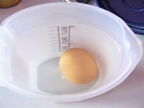 home made easy cakes: How to Test Eggs for Freshness