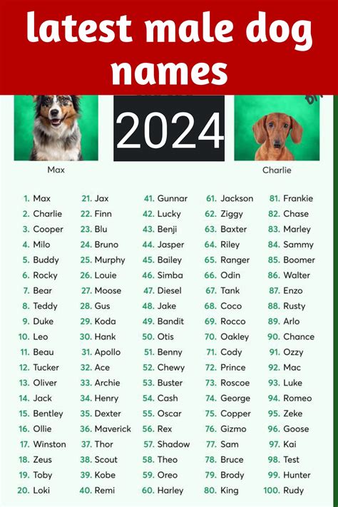 latest male dog names 2024 | Male dog names unique, Cute names for dogs, Dog names male