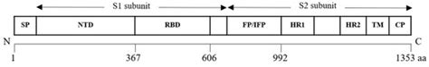 Impact of RNA Virus Evolution on Quasispecies Formation and Virulence