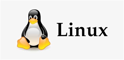 Image result for Linux Computer System