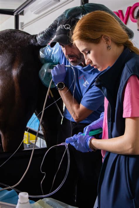 Cloning Reproduction 的图像结果