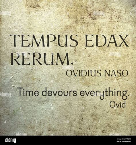 Famoso Frase Latina Quotes