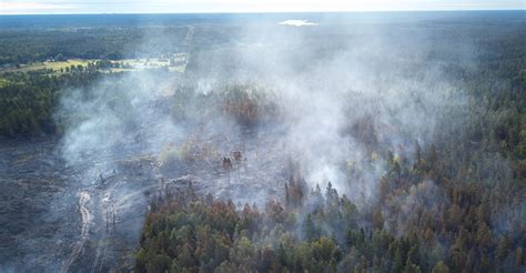 Skogsbrand nordväst om Sollefteå