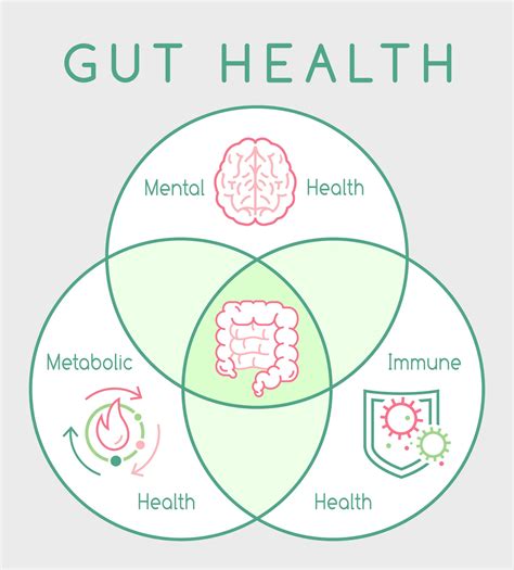 Gut Microbiome Research and the Health Food Industry • Paleo Foundation