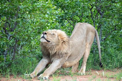 WANDER WILD SAFARIS & TOURS (2026) All You Need to Know BEFORE You Go ...