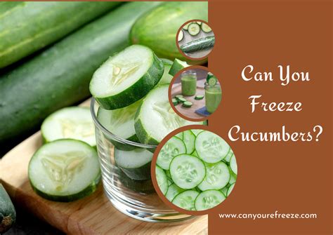 Can You Freeze Cucumbers? - Can You Refreeze