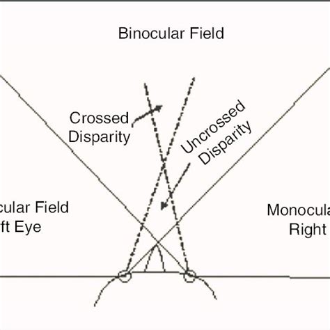 Image result for Human Vision Field of View