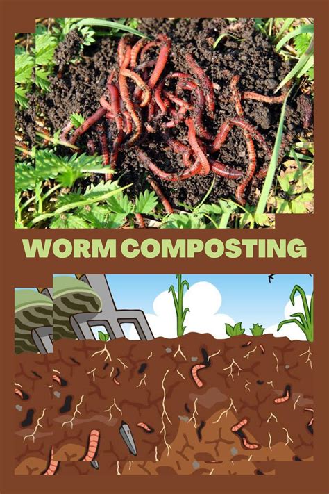 Image result for Worm Composting