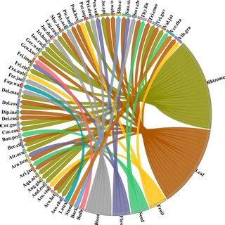 Image result for Primary Science Lessons Plant Distribution