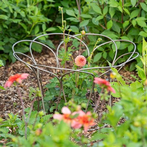 Buy Bulb/peony support - pewter: Delivery by Waitrose Garden