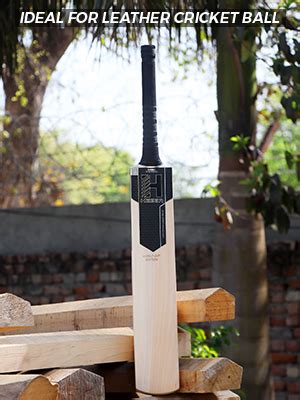 Heega World Cup Edition Premium Grade 1 Kashmir Willow Cricket Bat ...
