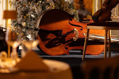 Christmas Menu with Mozart’s Most Famous Arias | Avantgarde Prague