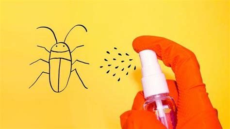 10 Effective DIY Insect Repellents for Home and Garden – Naturally Yours