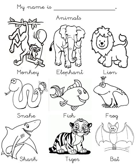 los animales en ingles para colorear