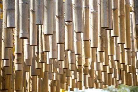 How To Dry Bamboo Poles For Construction | Idées extérieures ...