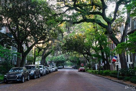 Jones Street Savannah Map Jones Street Pavement – Fact Checking