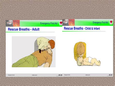 Image result for First Aid Introduction Narrative