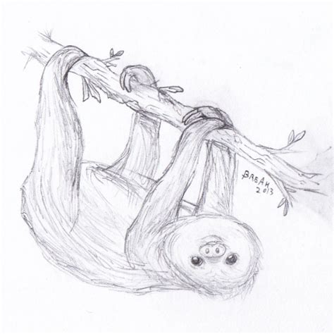 Image result for How to Draw a Two Toed Sloth